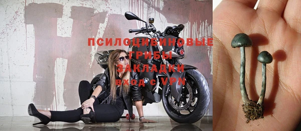 тгк Алексин